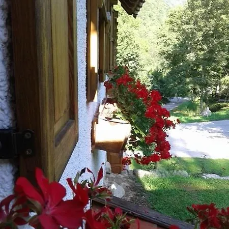 House Sobol Kuzelj