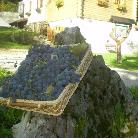 펜션 House Sobol *