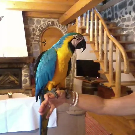 펜션 House Sobol Kuzelj