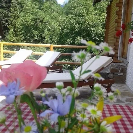 Vikendica House Sobol