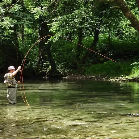 House Sobol 펜션 *