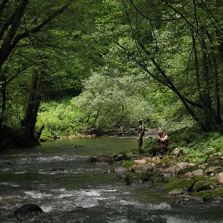 House Sobol * Kuzelj