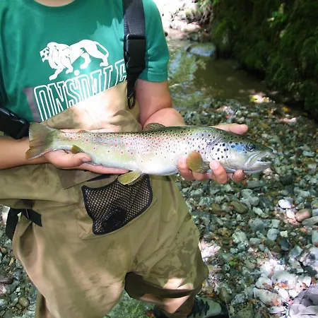 House Sobol 펜션 *